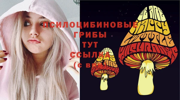 дживик Алзамай