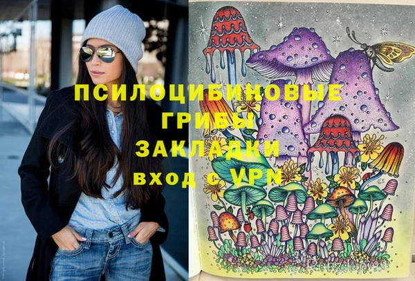 дживик Алзамай