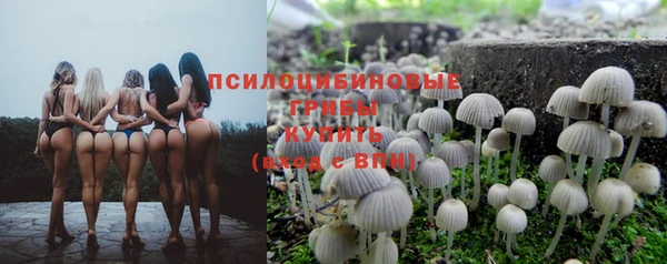 амф Саяногорск