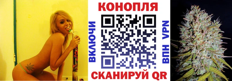 Бошки марихуана SATIVA & INDICA  где купить наркоту  Каргат 